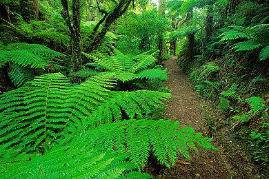 《零：月蚀的假面》PS5中文版开场10分钟演示