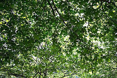 传微软和三星合作 为三星电视开发Xbox串流App